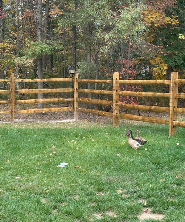 4 hole split rail