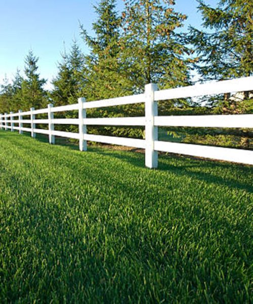 Vinyl Ranch Style
